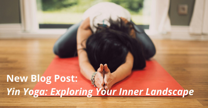 Yin Yoga: Exploring Your Inner Landscape image